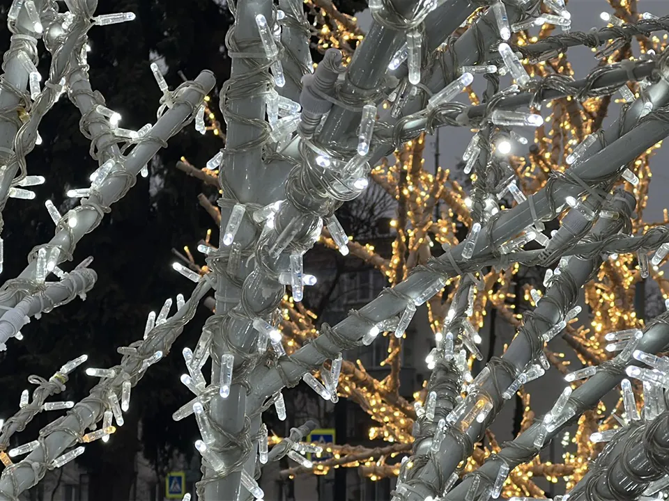 Фото: МедиаБанк Подмосковья/Кристина Тришина