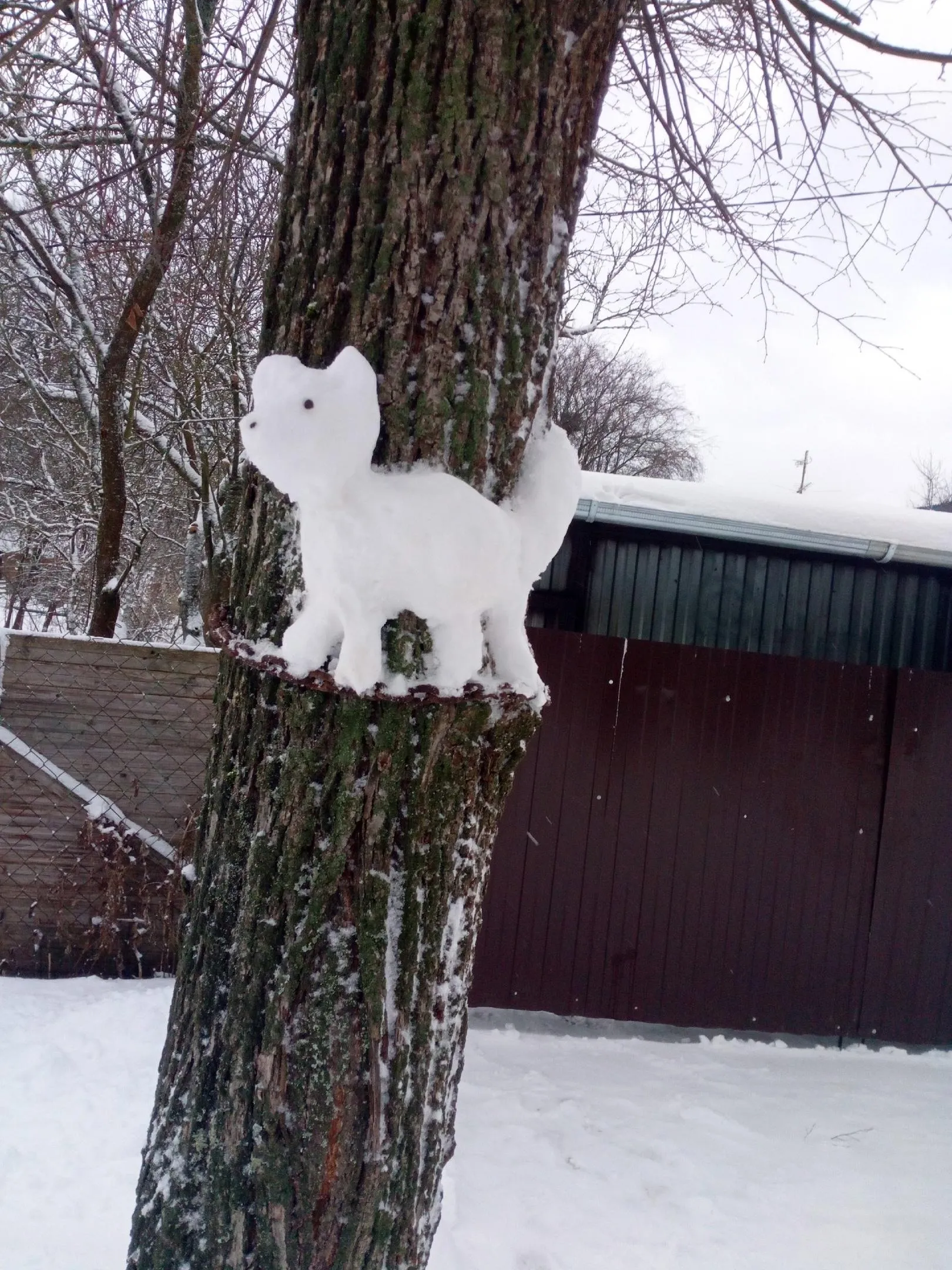 Фото: Подслушано | Истра / ВКонтакте