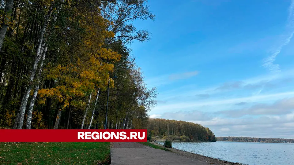 Фото: REGIONS/Алена Мельникова