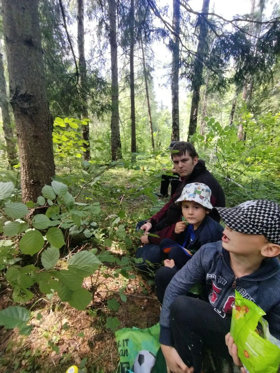 Картинка