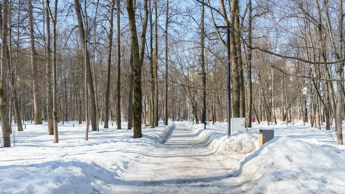 Фото: медиасток.рф