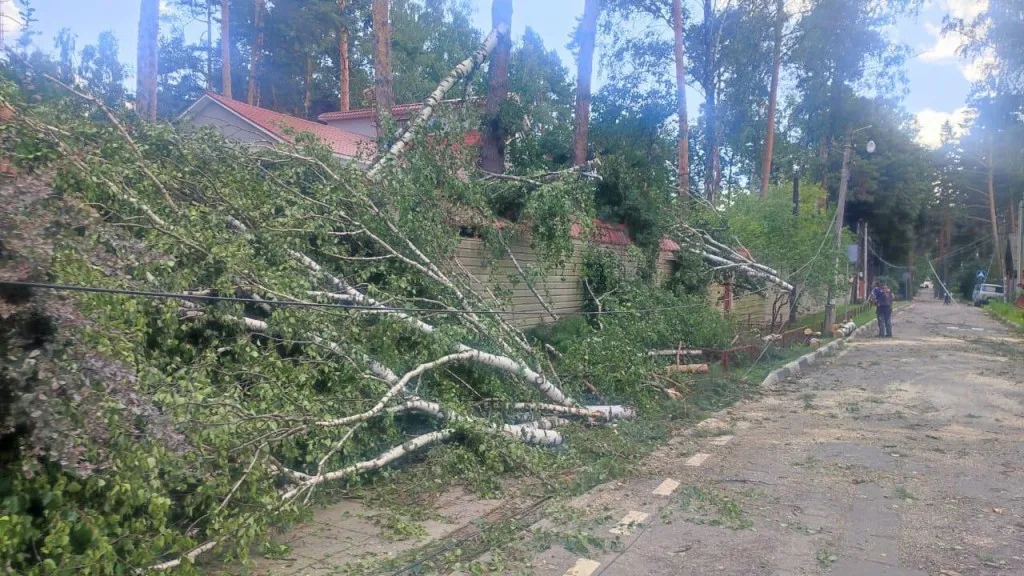 Фото: АО «Мособлэнерго»