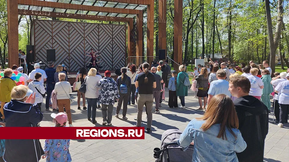 Фото: Александр Стёпушкин