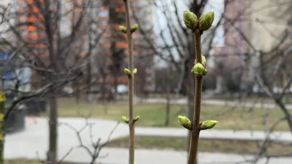 Фото: Ксения Казакова