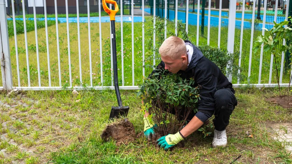 Фото: администрация г.о. Реутова