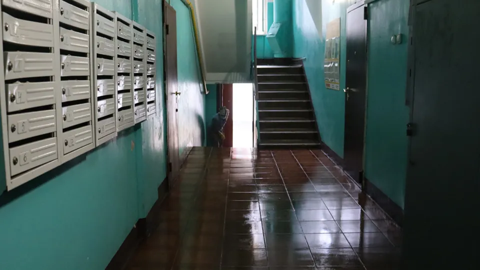 Фото: МедиаБанк Подмосковья/Евгений Савин