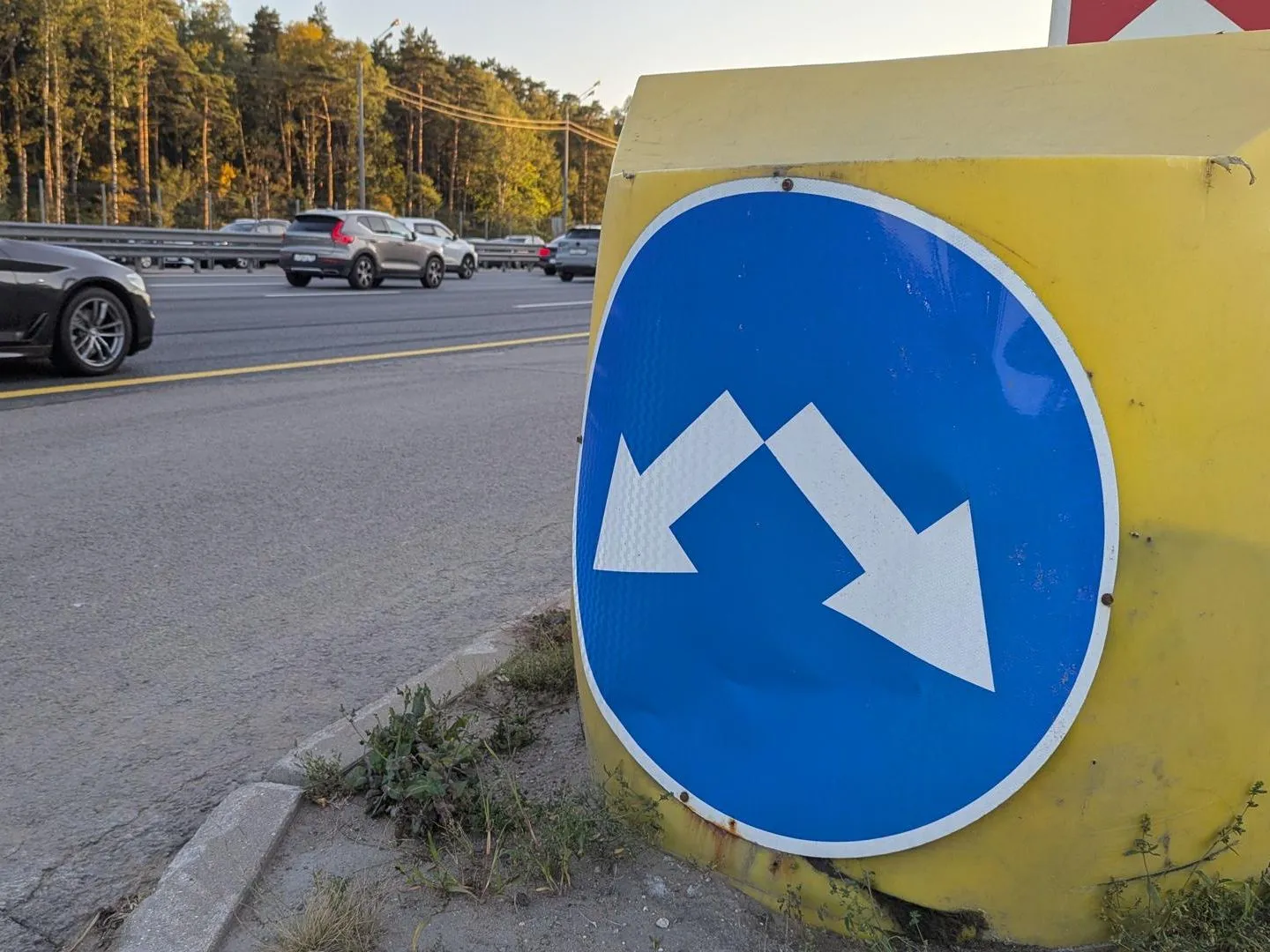 Фото: REGIONS/Артем Мишуков