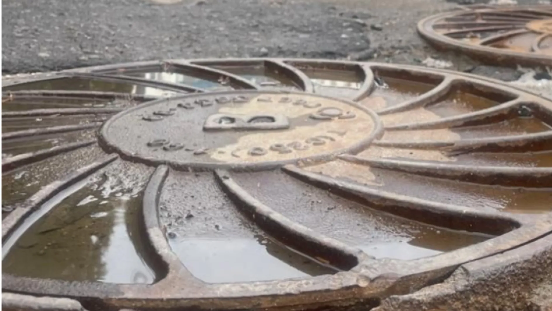 Фото: МедиаБанк Подмосковья/Артем Мишуков