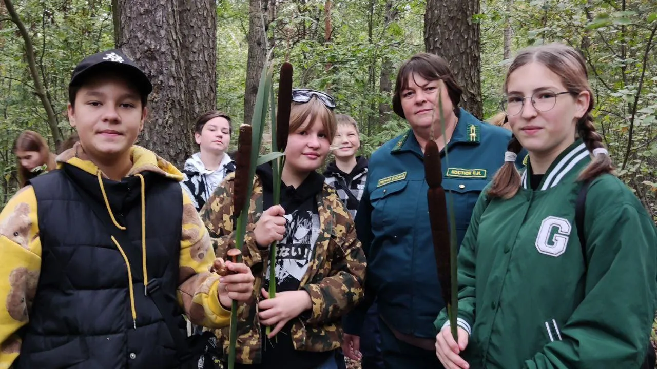Комитет лесного хозяйства Московской области