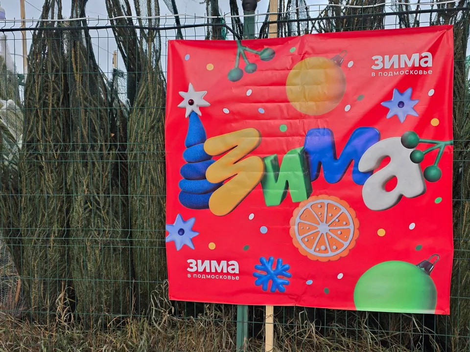 Фото: МедиаБанк Подмосковья/Мария Юдина