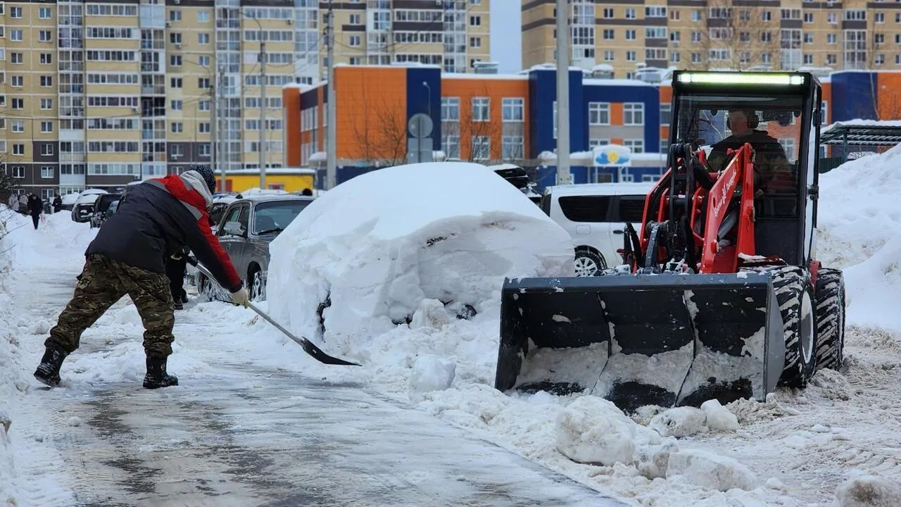 REGIONS/Валерия Тингаева