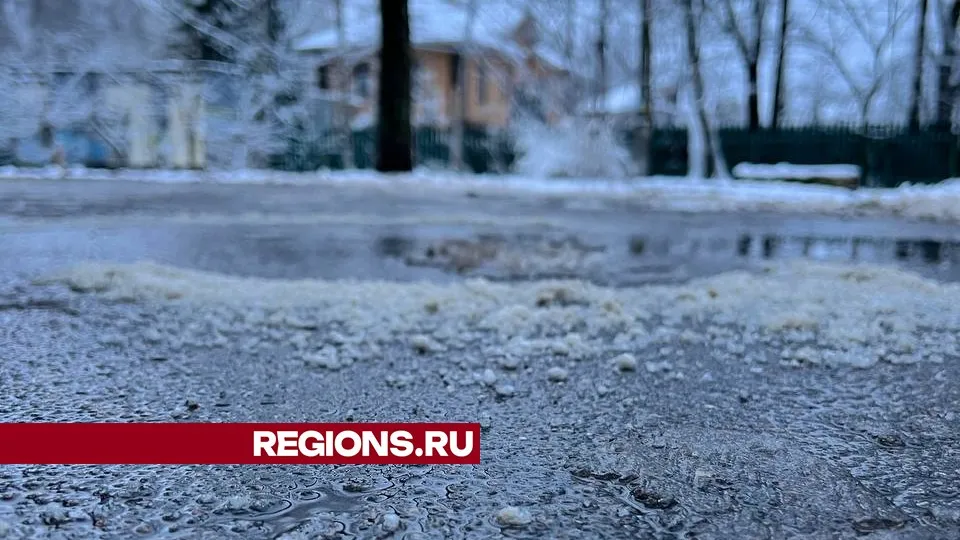 Фото: REGIONS/Елена Фурман