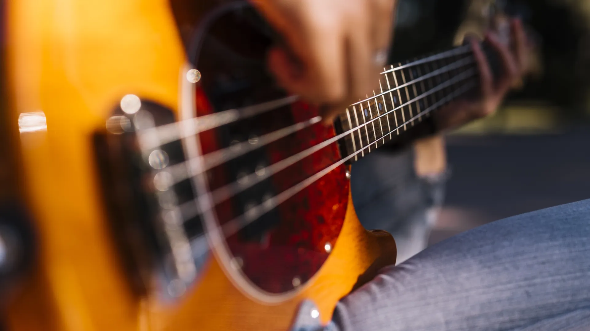 Фото: freepik.com