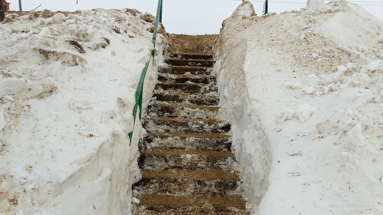 Источник: t.me/SERPRU