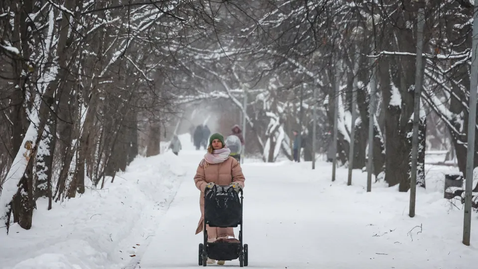 Фото: ТАСС/Сергей Фадеичев