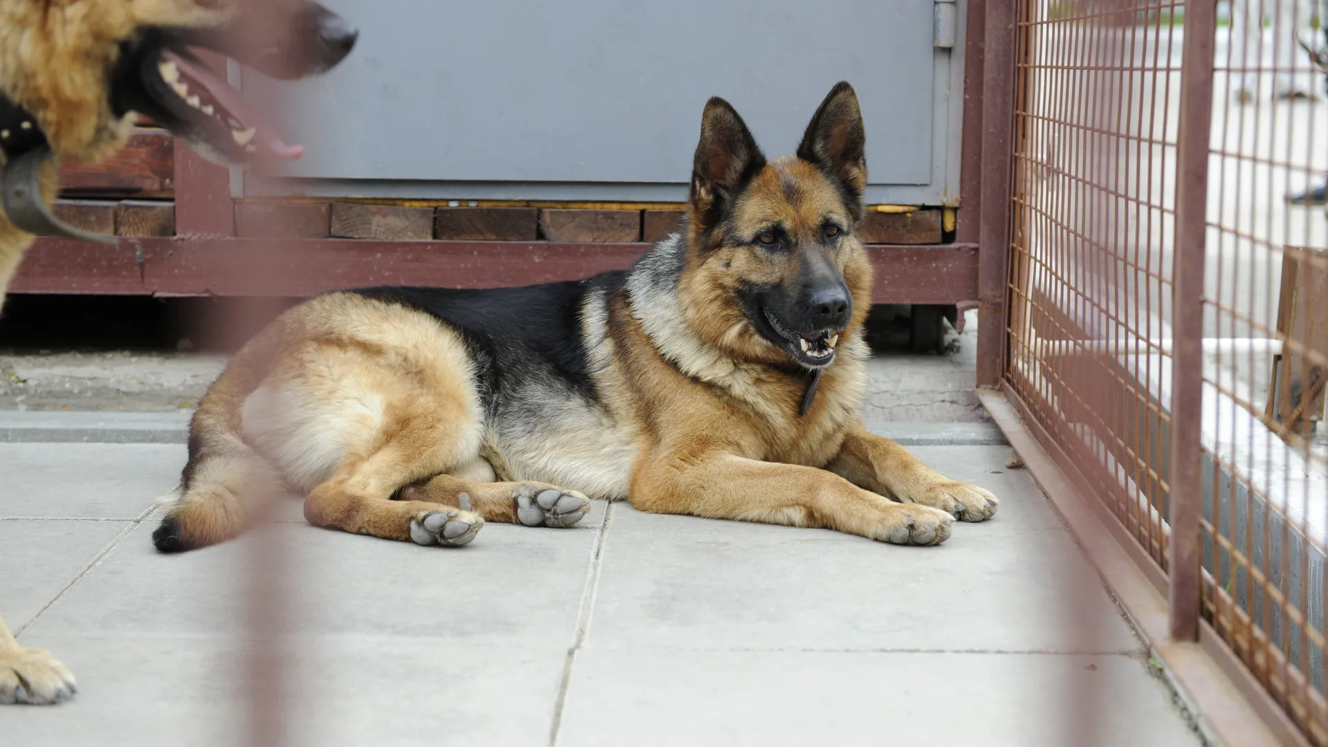 медиасток.рф