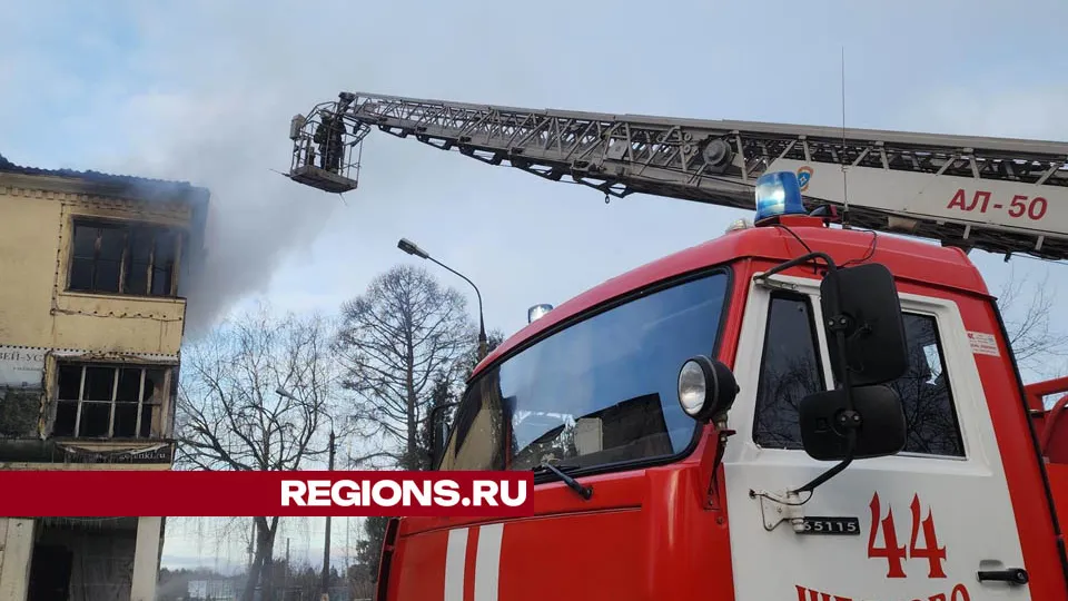 Фото: Валерия Тингаева