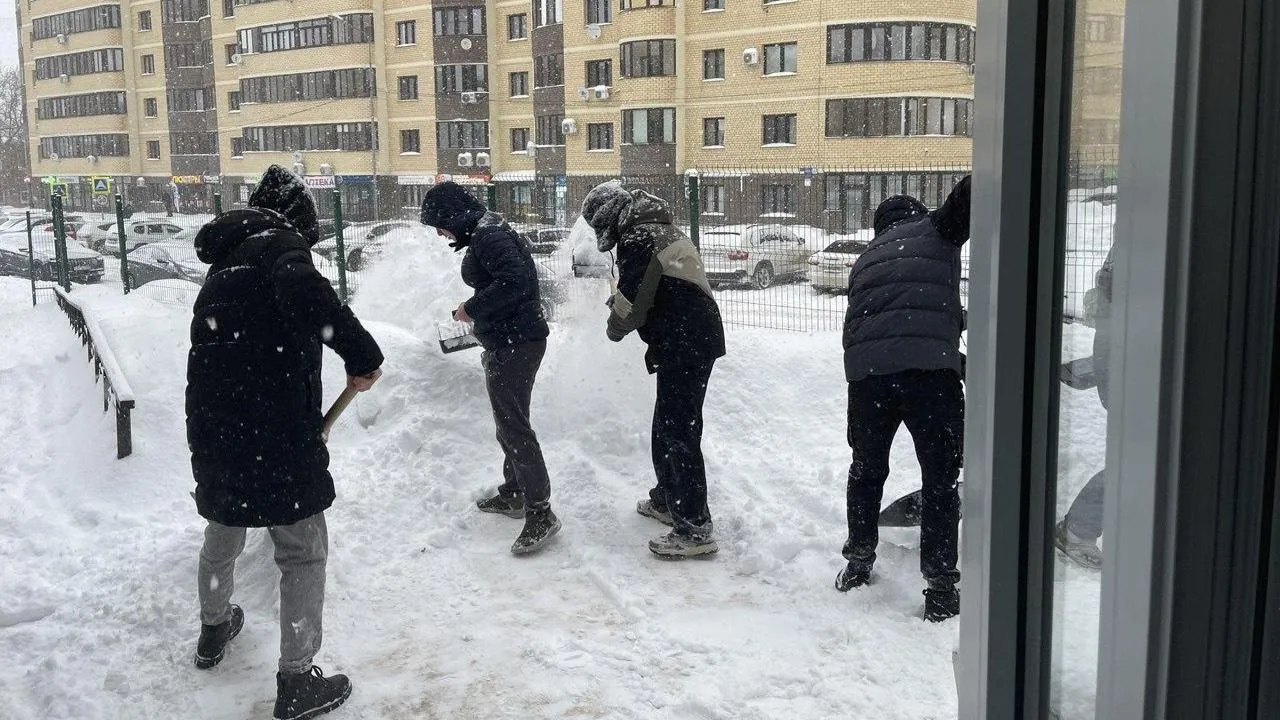 Более 2 тыс. студентов Подмосковья помогли расчистить от снега территории социальных объектов