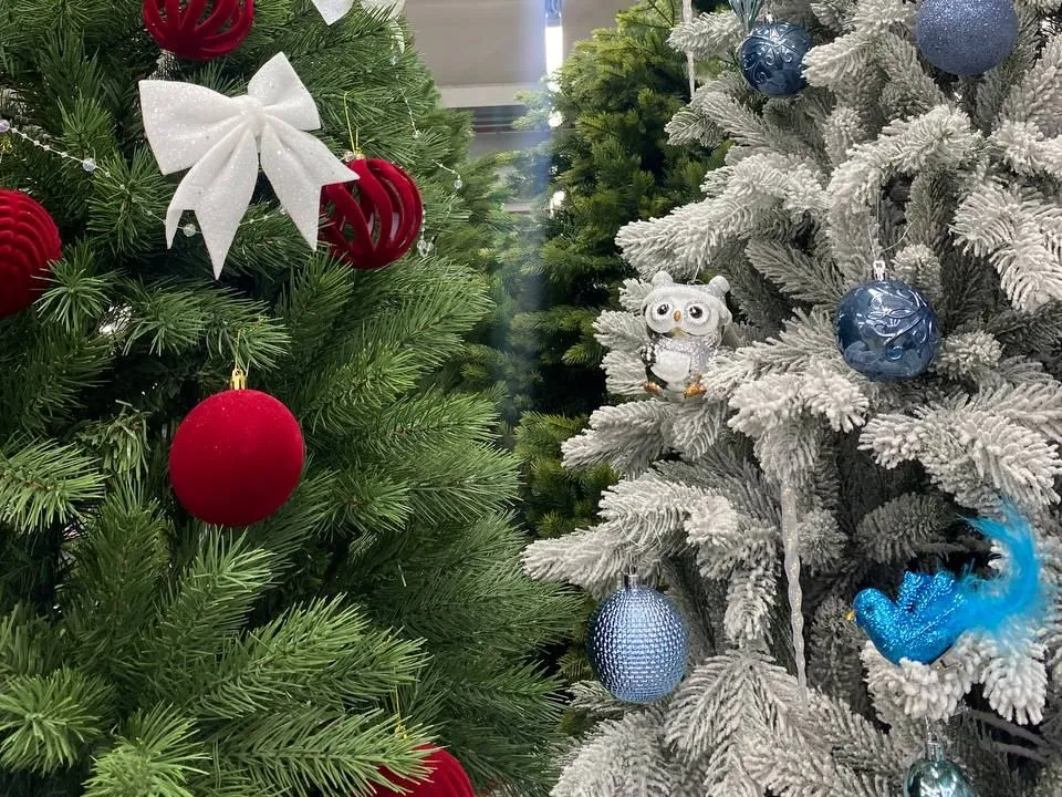 Фото: REGIONS/Мария Толстикова