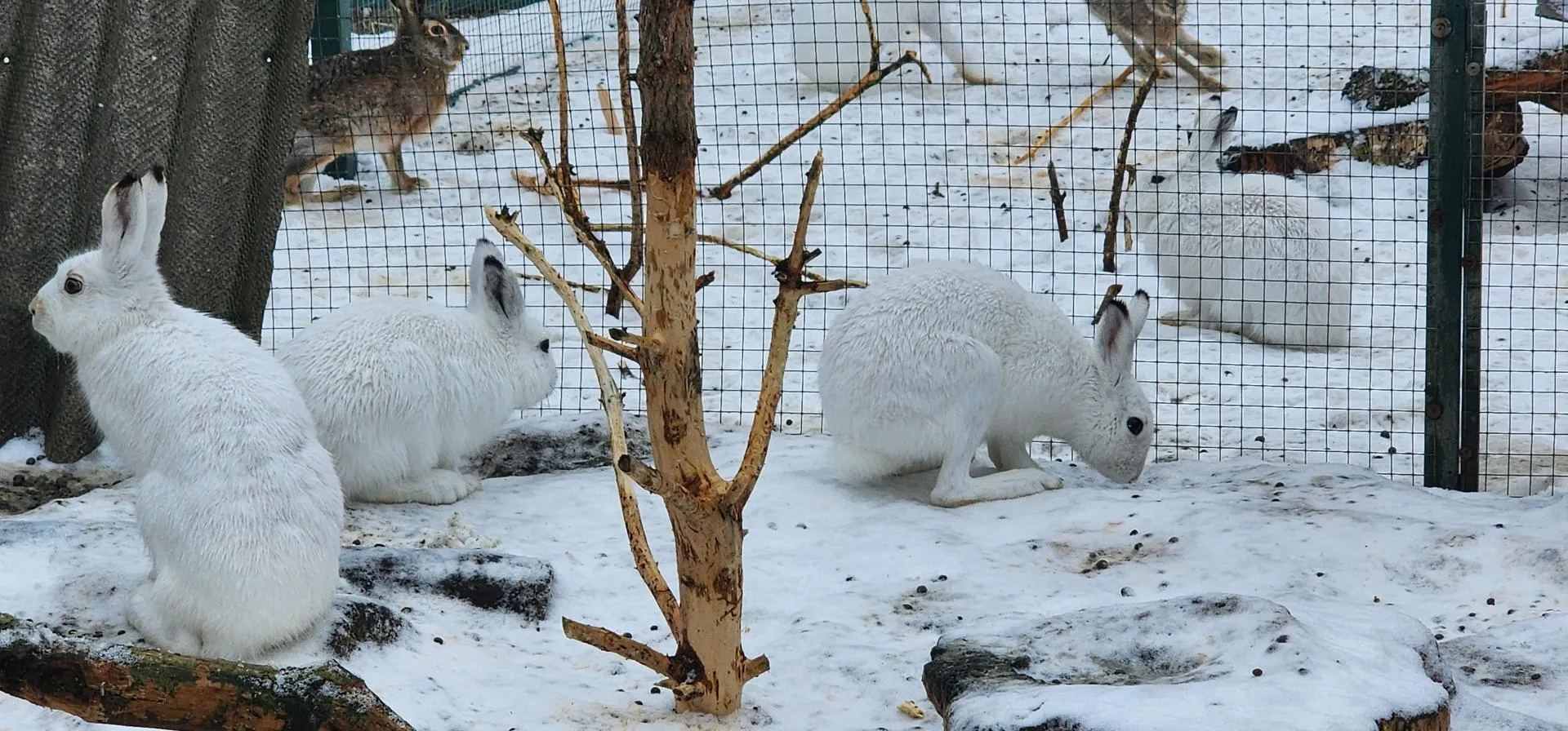 Фото Наталии Надточей