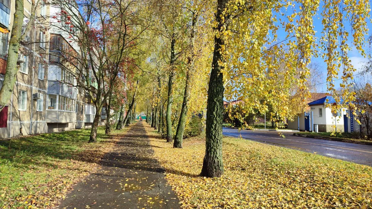 Фото: REGIONS/Елена Забелина