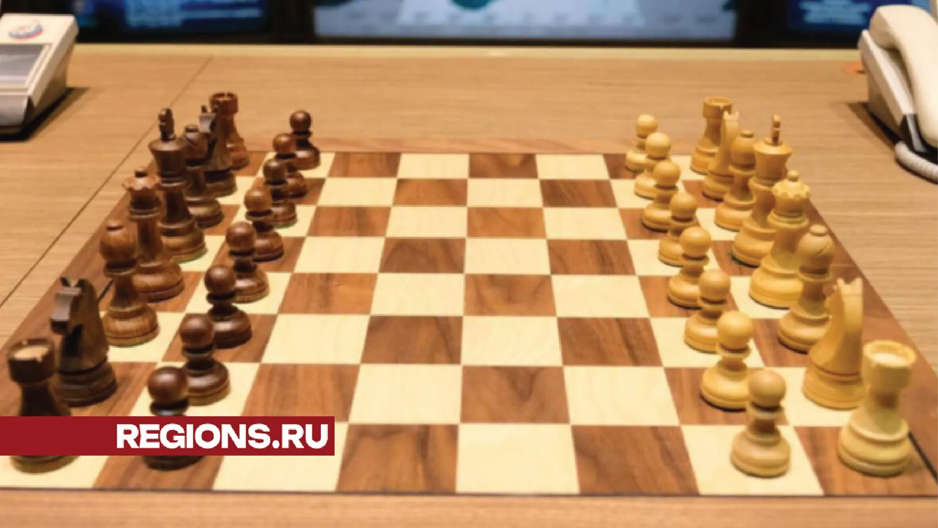 Фото: МедиаБанк Подмосковья/Хавива Фонина