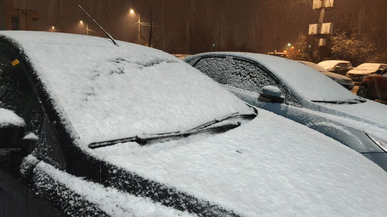 Фото: личный архив Анастасии Широкой