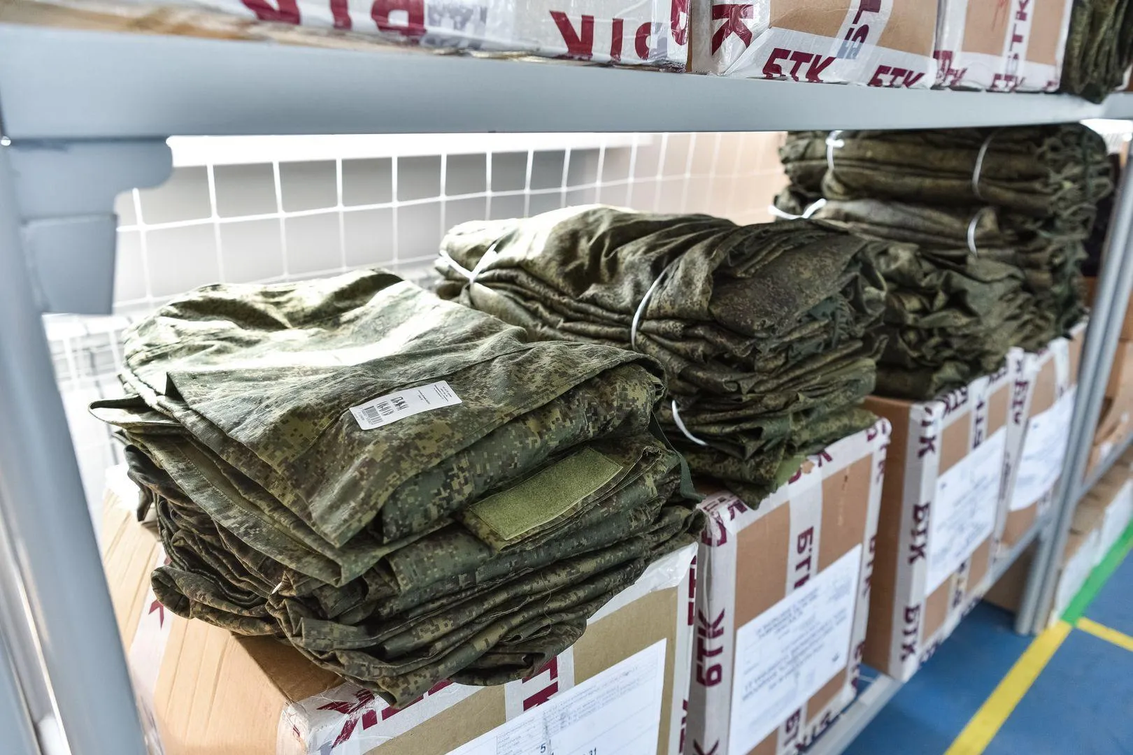 Фото: Медиасток Подмосковья