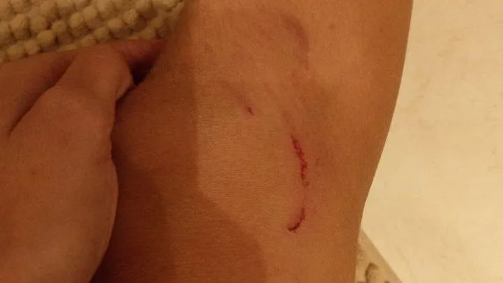 предоставлено очевидцами