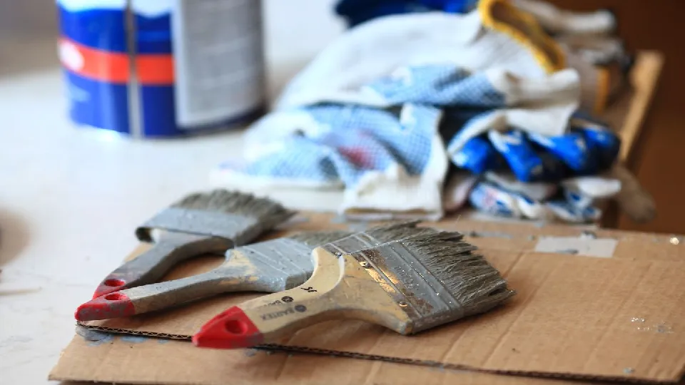 Фото: пресс-служба администрации г.о. Дмитров