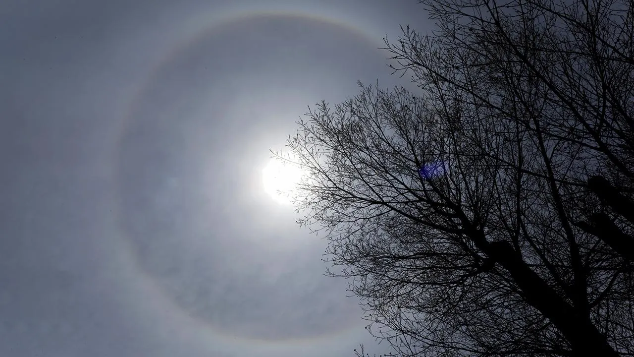 istockphoto.com/antova