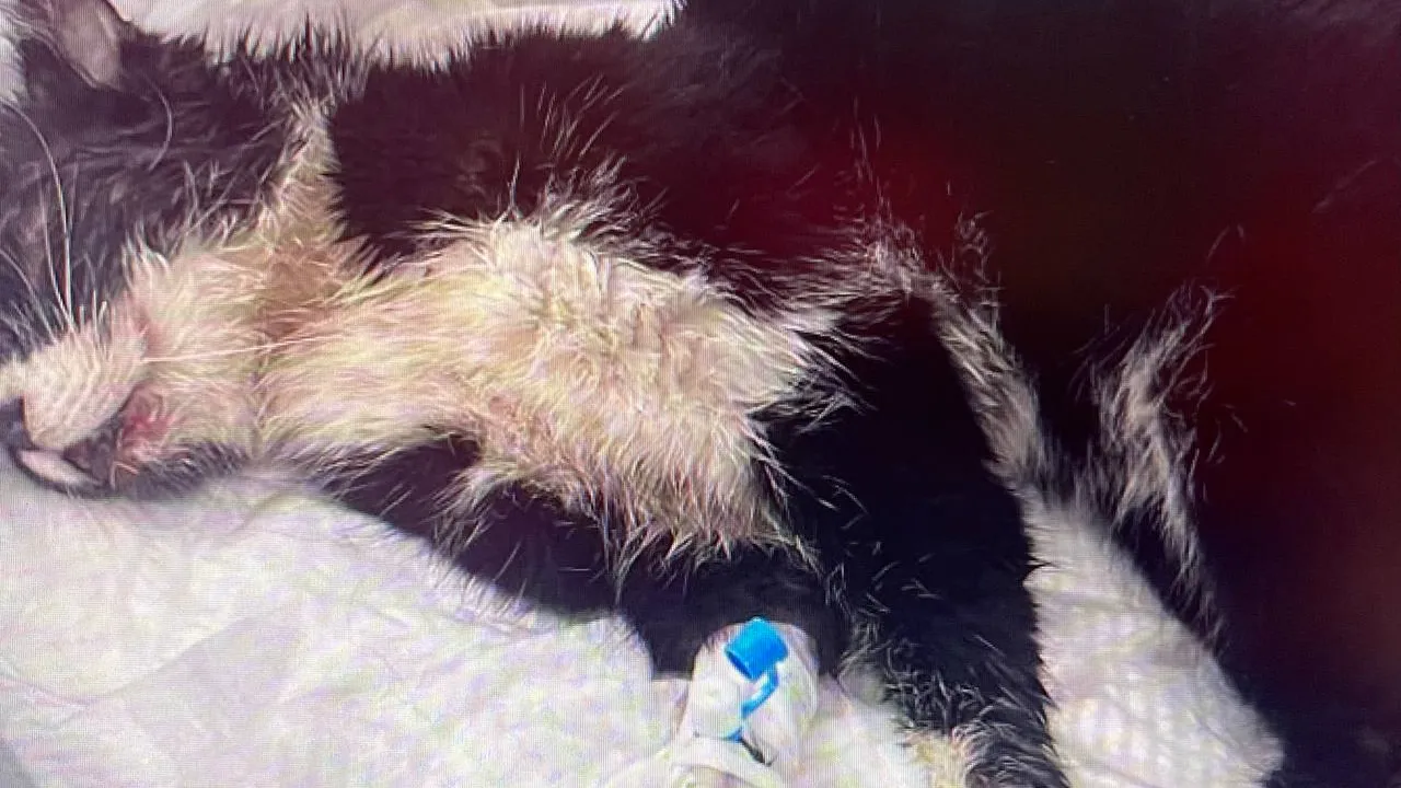 Фото: Екатерина Филиппова