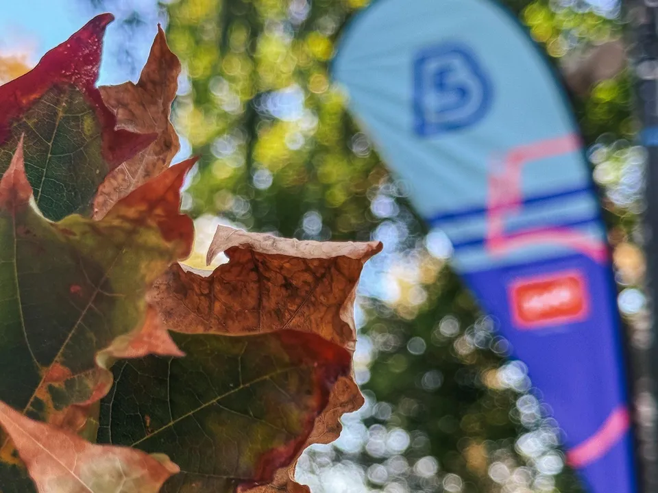 Фото: Администрация городского округа Люберцы