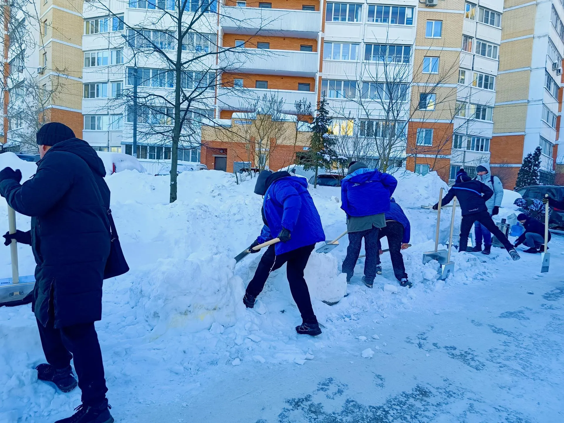 администрация Химки г.о.