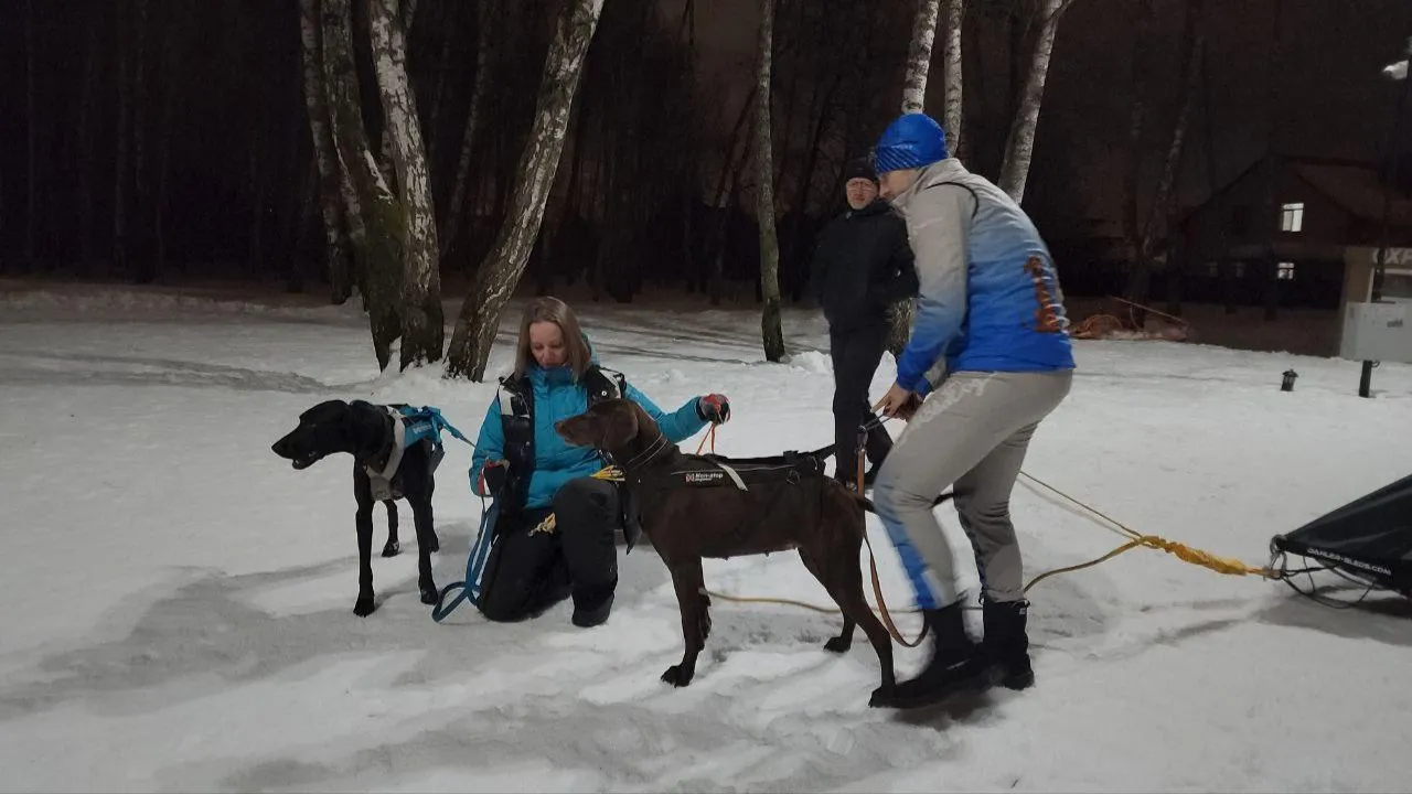 МедиаБанк Подмосковья/Эдуард Стратонов