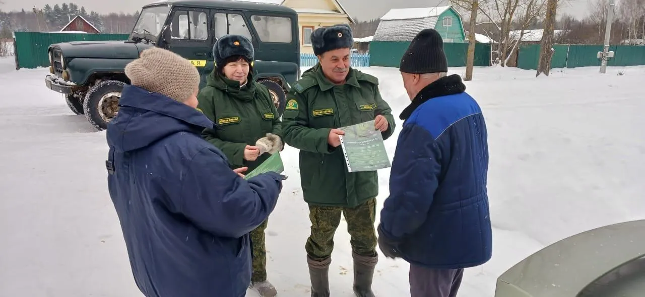 Фото: Шатурское лесничество