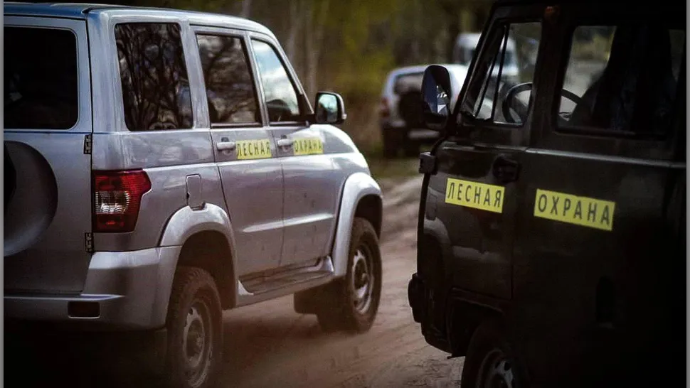 Фото: Комитет лесного хозяйства МО