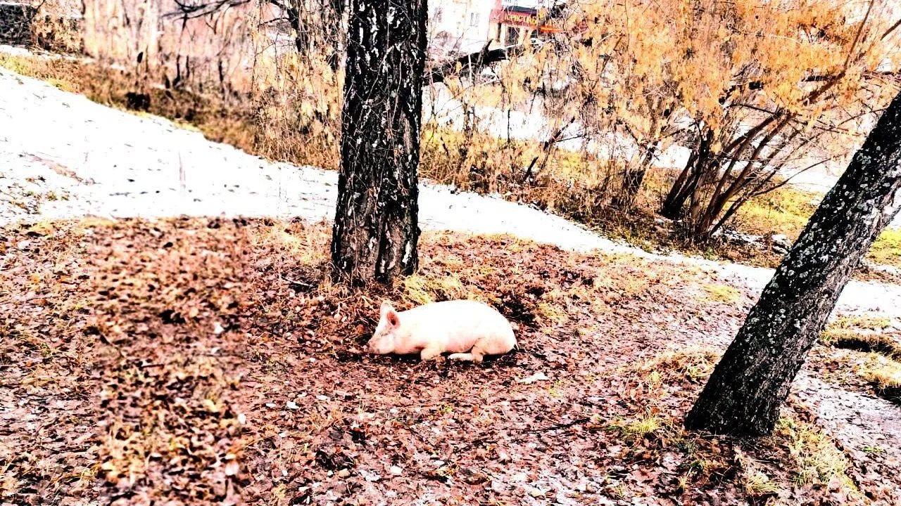 Суды Свердловской области