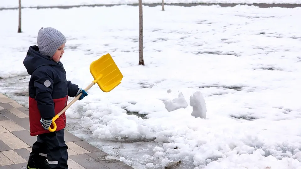 Фото: МедиаБанк Подмосковья/Полина Пахомова