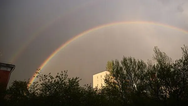 Владимир Астапкович / РИА Новости