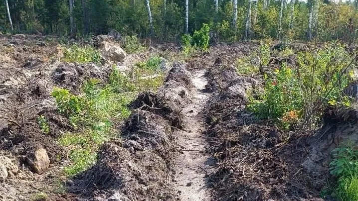 Комитет лесного хозяйства Московской области