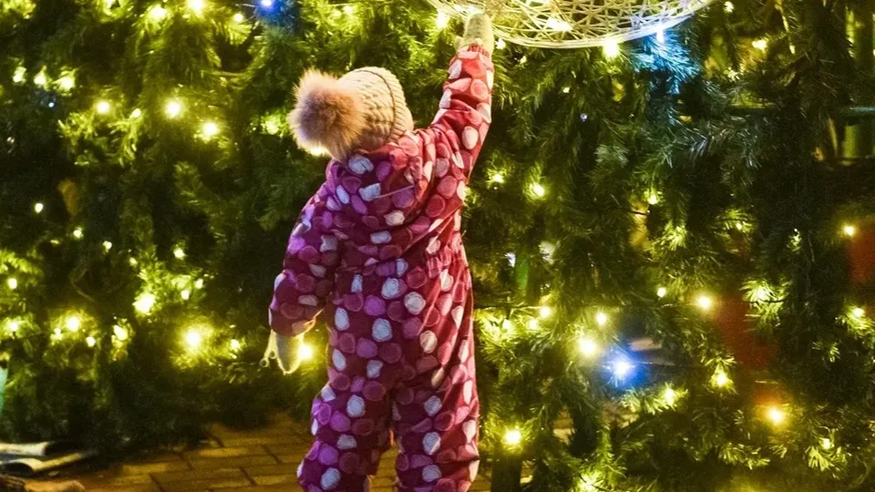 Фото: Министерство благоустройства МО