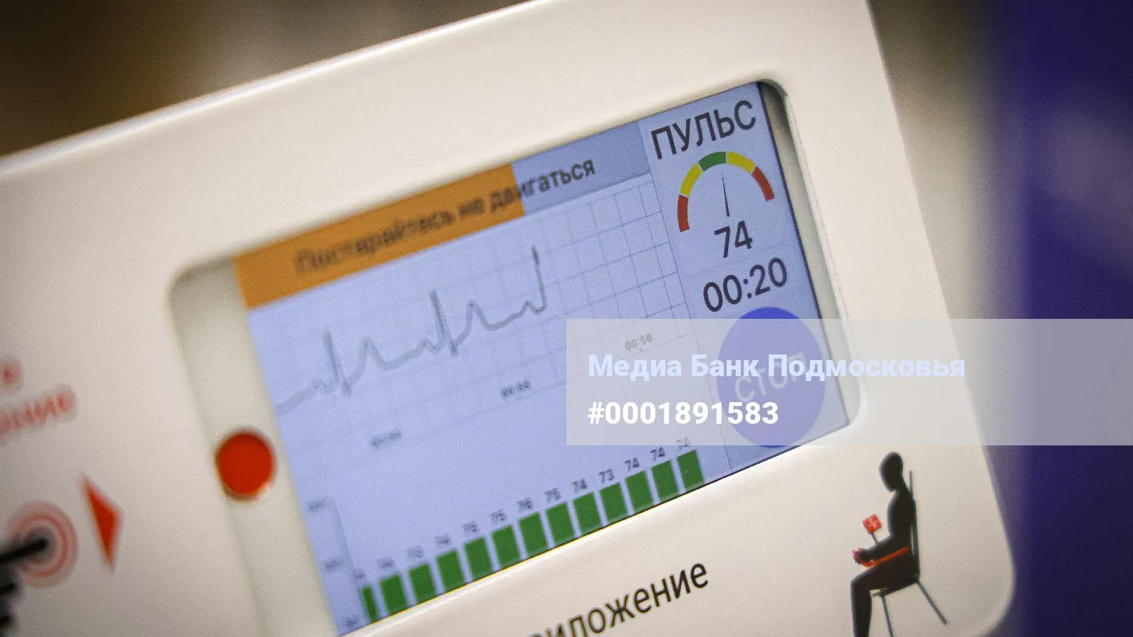 МедиаБанк Подмосковья/Данила Кирьянов