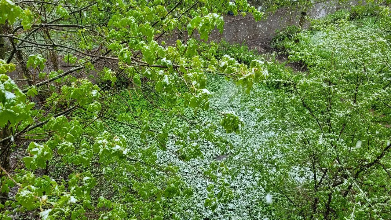 Фото: Юлия Григорьева