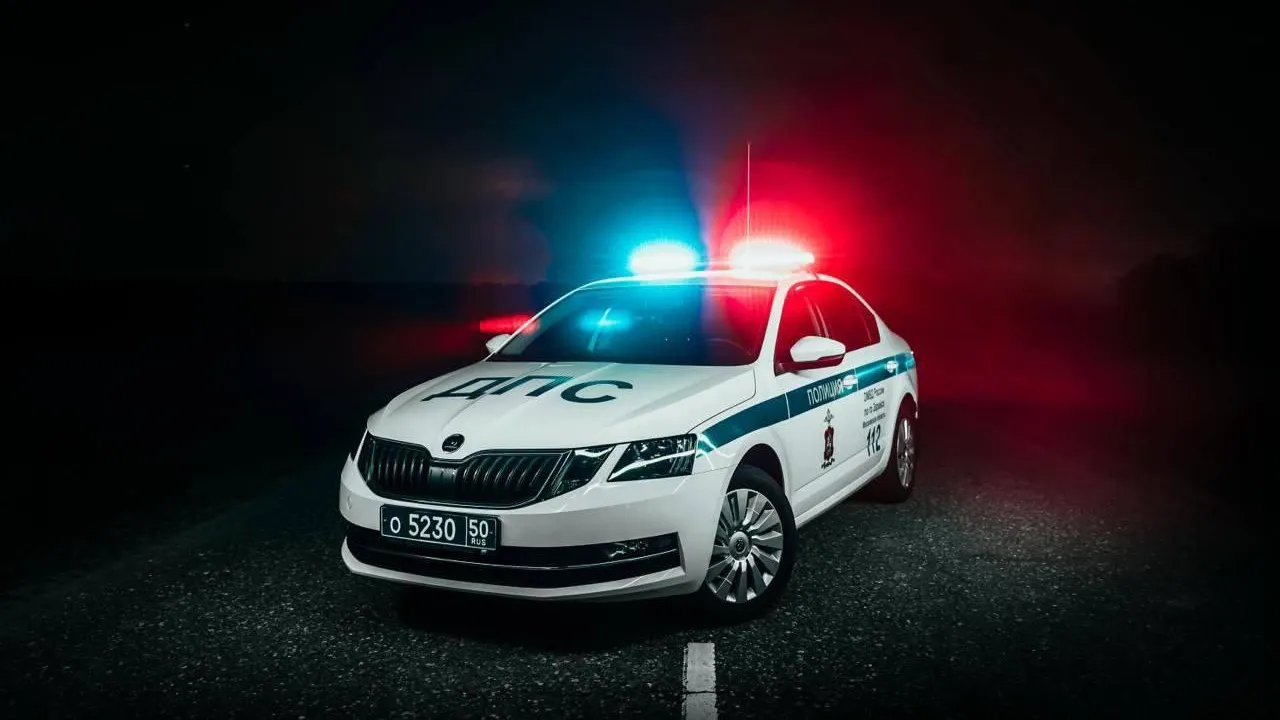 фото ГИБДД Московской области