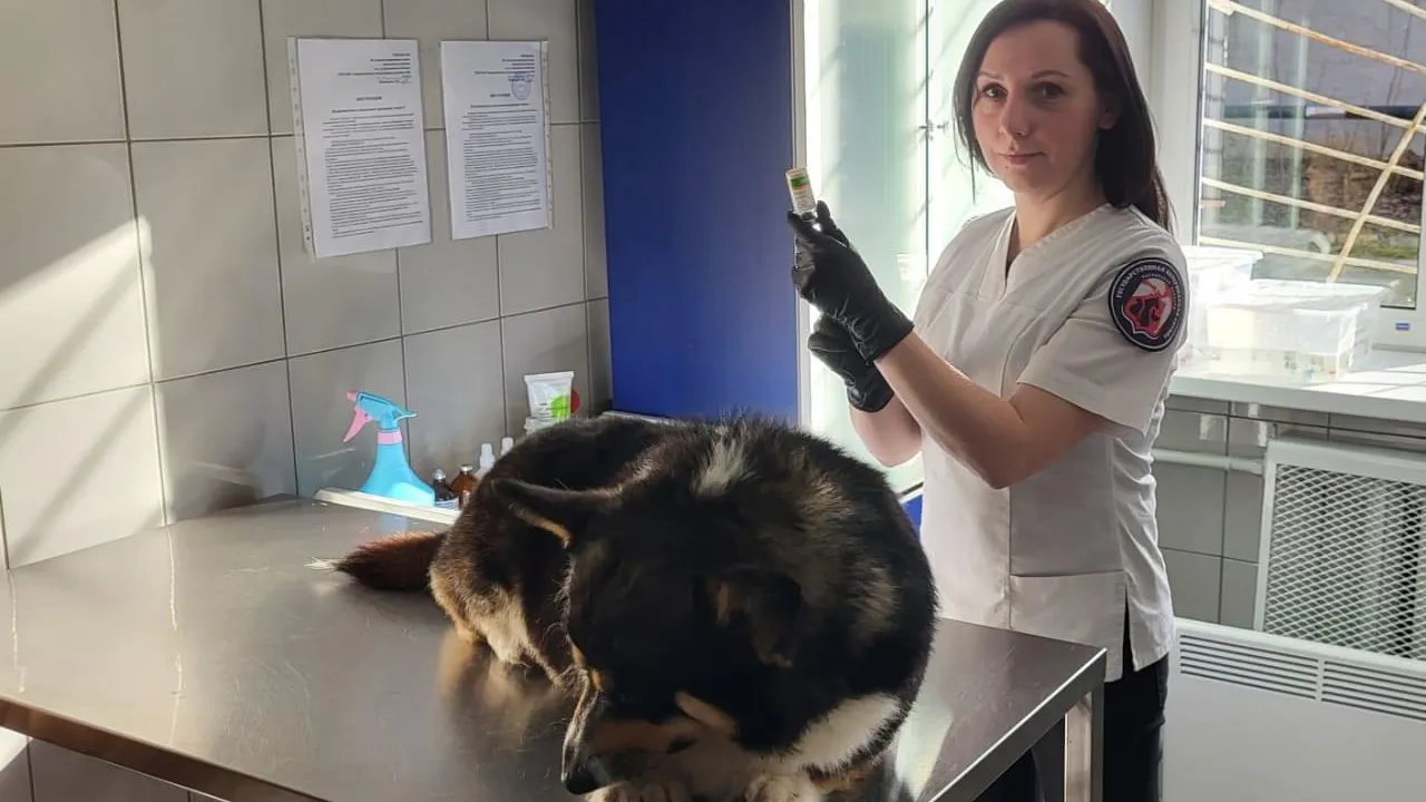 Министерство сельского хозяйства и продовольствия МО