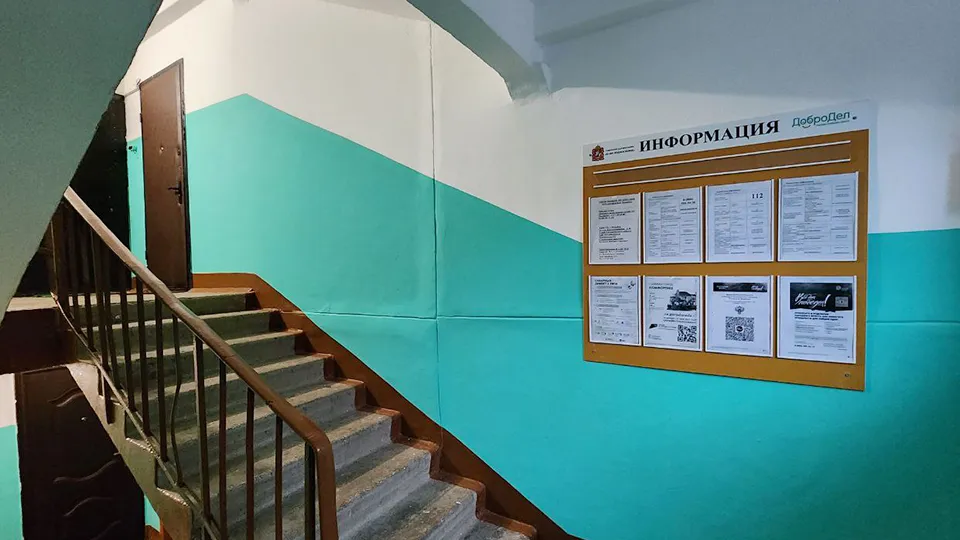 Фото: Медиабанк Подмосковья/Яна Шаливская