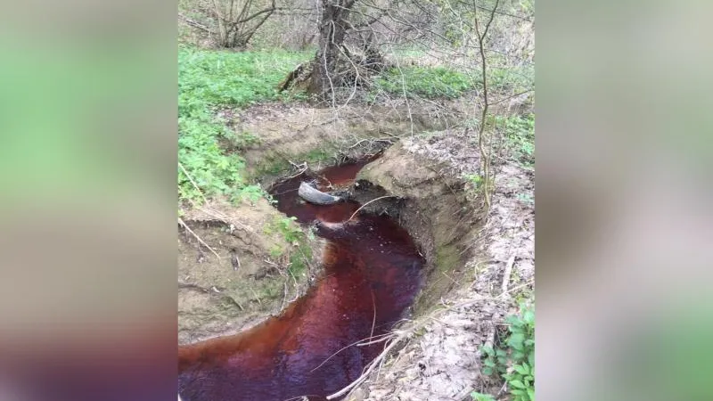 Ручей окрасился в багровый цвет в Кашире