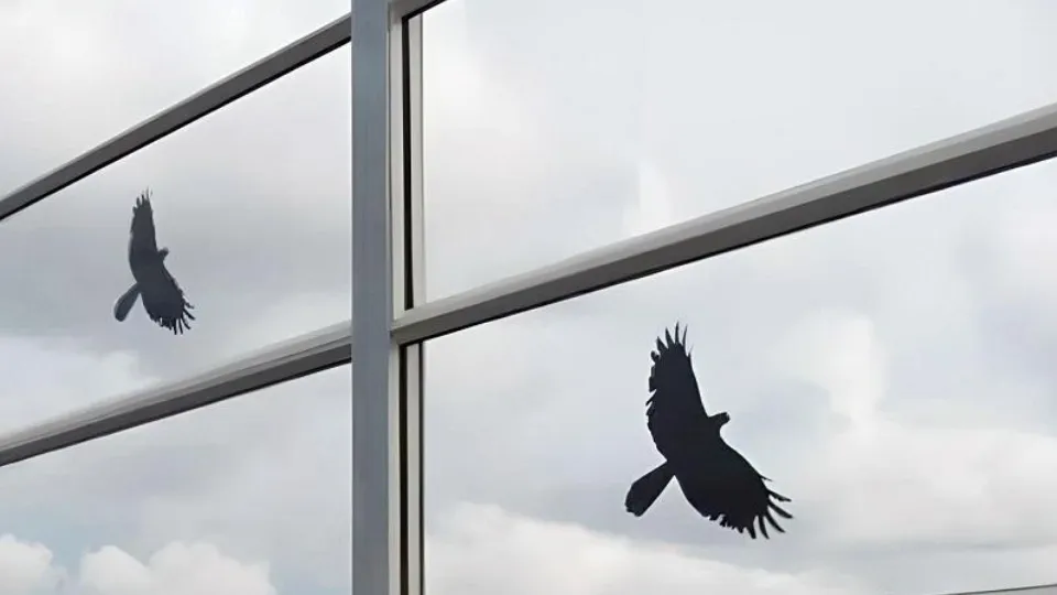 Фото: Е. Чернецкая