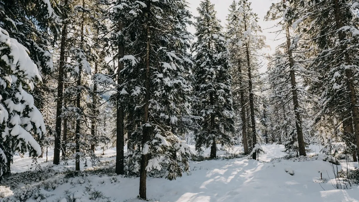 Фото: freepik.com